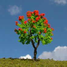 model trees